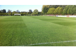 CUP FINAL 2013 - 9th June 